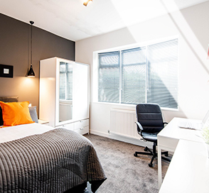 hmo property to rent